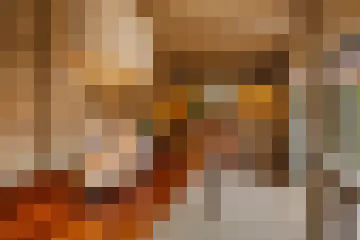 De Bogerd 10 Horssen thumbnail 58