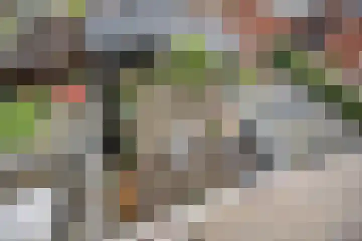 De Bogerd 10 Horssen thumbnail 59