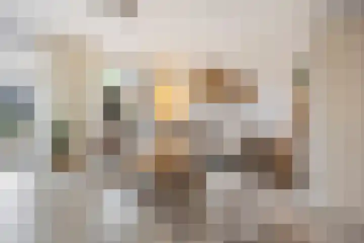 De Bogerd 10 Horssen thumbnail 6