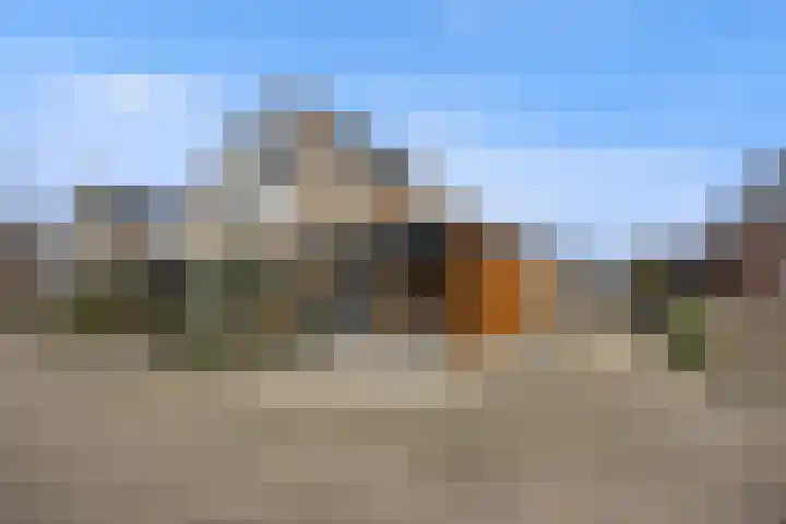 De Bogerd 10 Horssen thumbnail 60