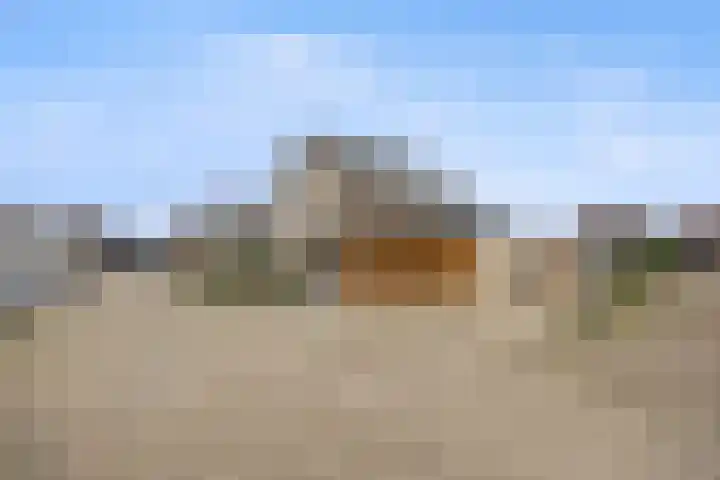 De Bogerd 10 Horssen thumbnail 61