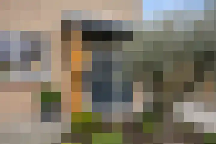 De Bogerd 10 Horssen thumbnail 63