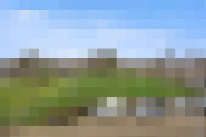De Bogerd 10 Horssen thumbnail 66