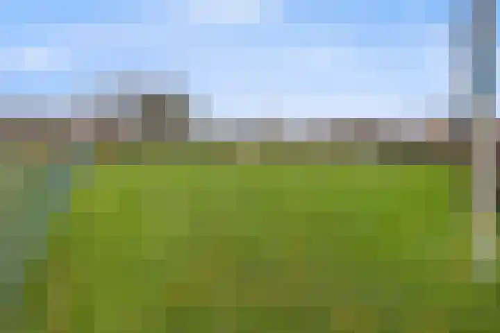 De Bogerd 10 Horssen thumbnail 68