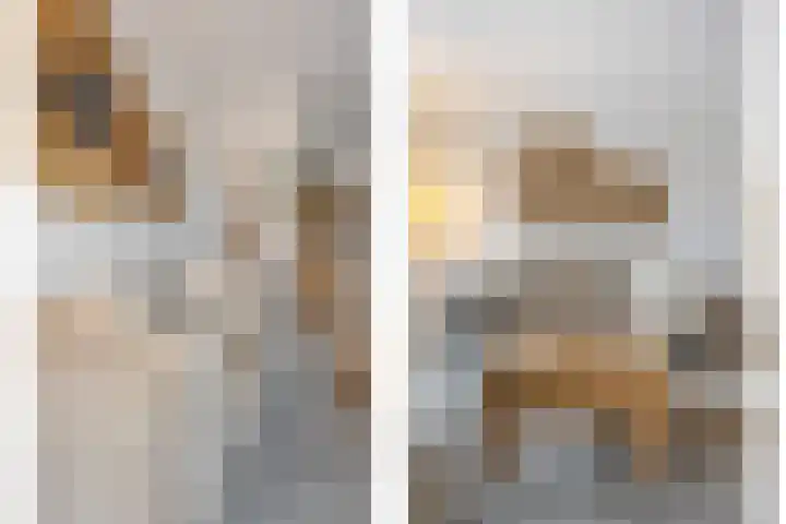 De Bogerd 10 Horssen thumbnail 7