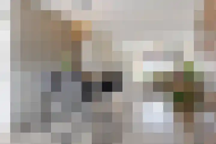 De Bogerd 18 Ameide thumbnail 10