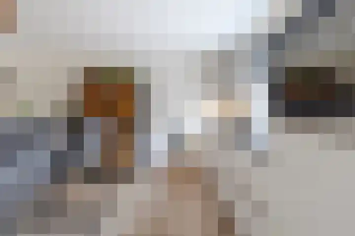 De Bogerd 18 Ameide thumbnail 12