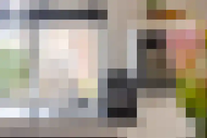 De Bogerd 18 Ameide thumbnail 14