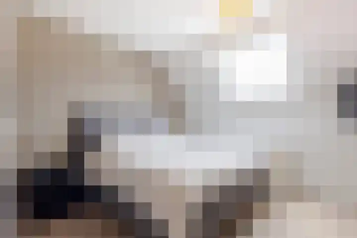 De Bogerd 18 Ameide thumbnail 18
