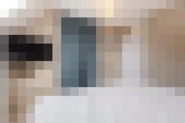 De Bogerd 18 Ameide thumbnail 19