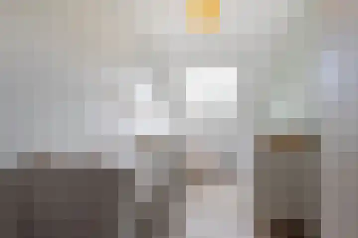 De Bogerd 18 Ameide thumbnail 20