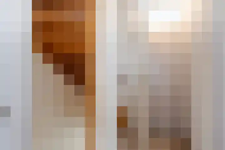 De Bogerd 18 Ameide thumbnail 26