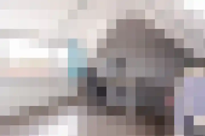 De Bogerd 18 Ameide thumbnail 28