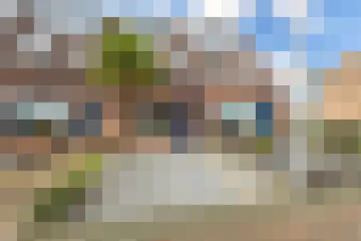 De Bogerd 18 Ameide thumbnail 29