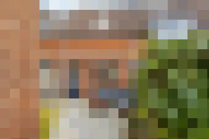 De Bogerd 18 Ameide thumbnail 32