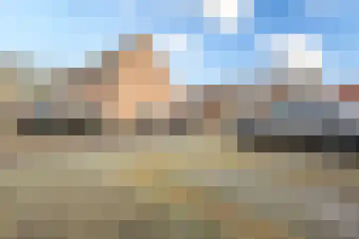De Bogerd 18 Ameide thumbnail 33