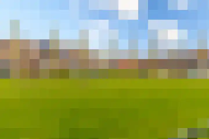 De Bogerd 18 Ameide thumbnail 35
