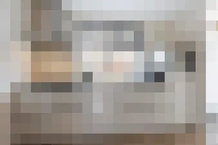 De Bogerd 18 Ameide thumbnail 4