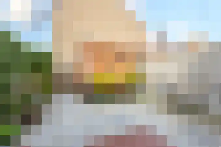 De Bogerd 18 Ameide thumbnail 5