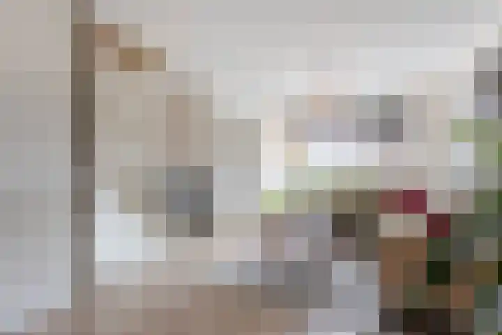 De Bogerd 18 Ameide thumbnail 7
