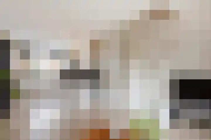 De Bogerd 18 Ameide thumbnail 8