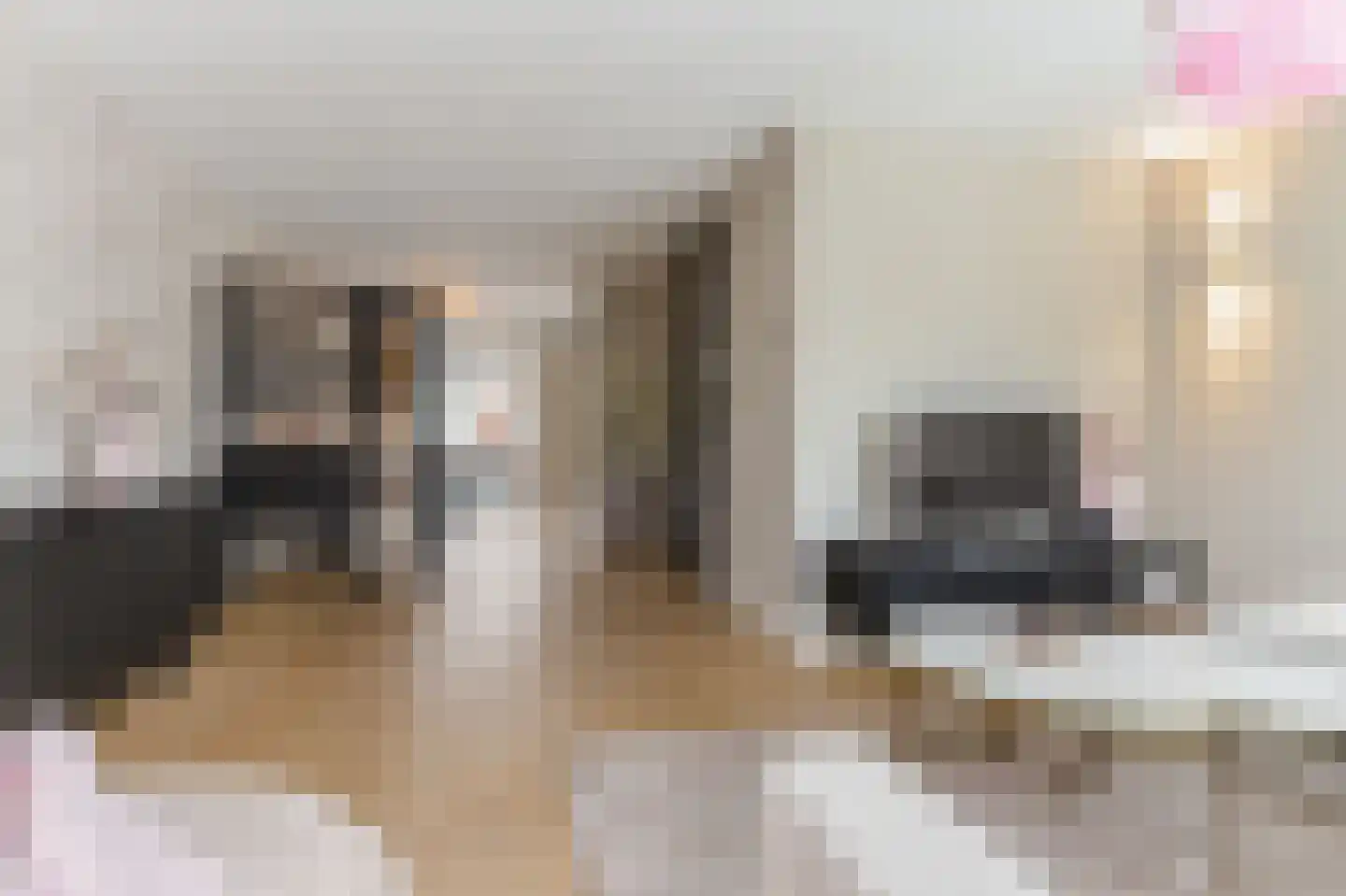 de Bogerd 7 Gameren thumbnail 10