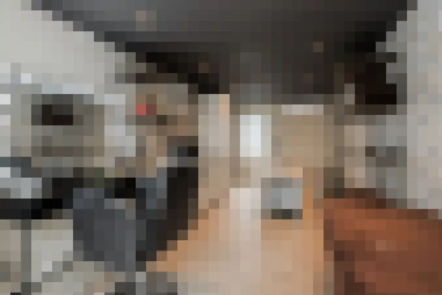 de Bogerd 7 Gameren thumbnail 20