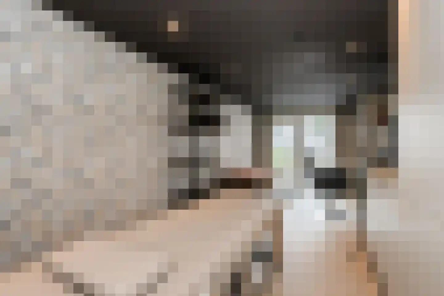 de Bogerd 7 Gameren thumbnail 37