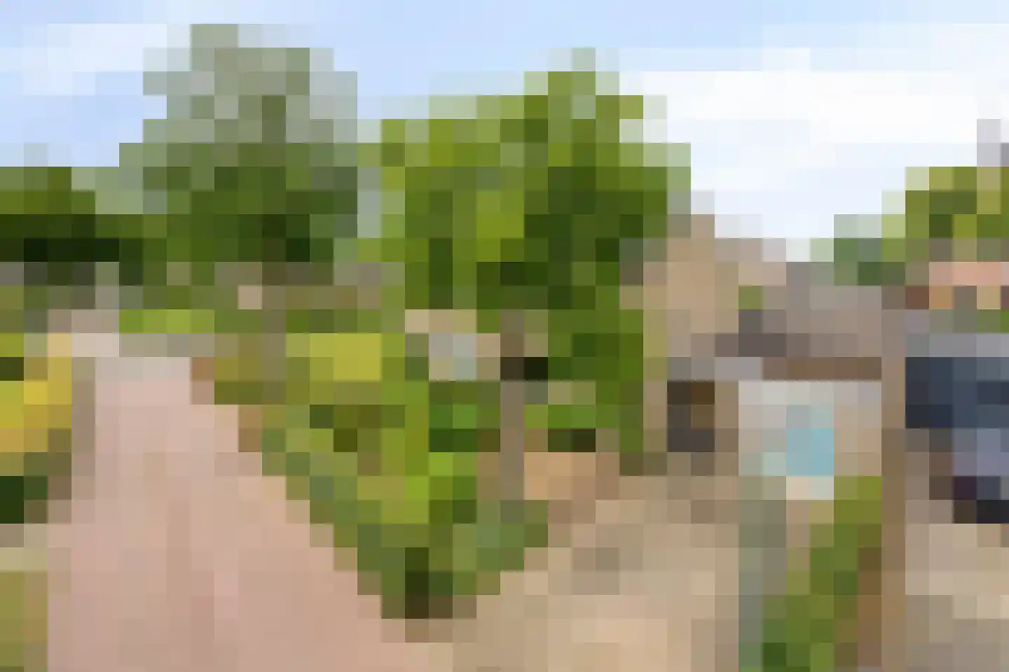 De Boggerd 22 Katwijk NB thumbnail 11