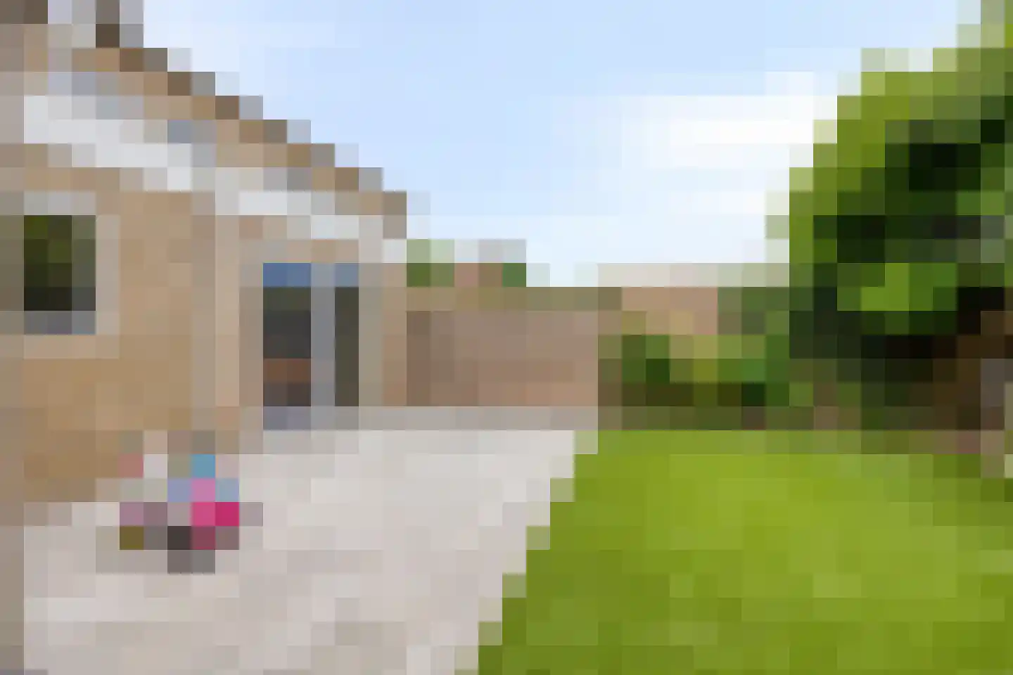 De Boggerd 22 Katwijk NB thumbnail 36