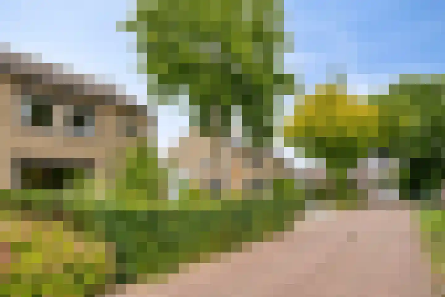 De Boggerd 22 Katwijk NB thumbnail 6