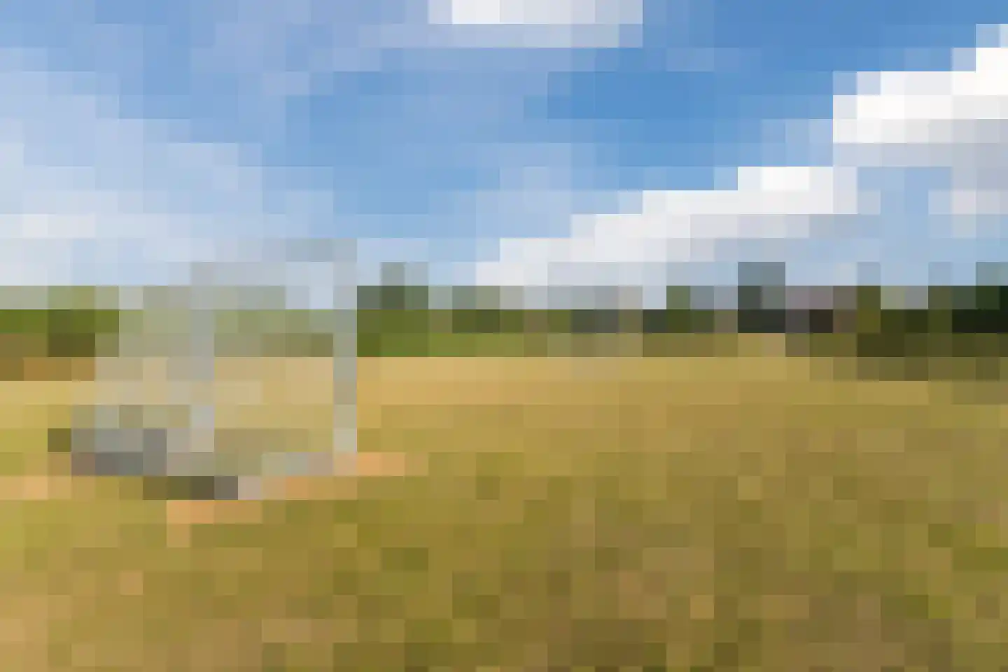 De Boggerd 46 Katwijk NB thumbnail 38