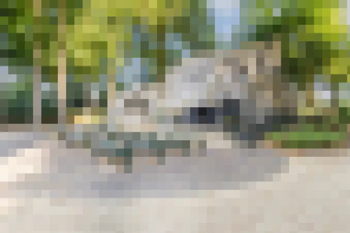 De Boggerd 46 Katwijk NB thumbnail 39