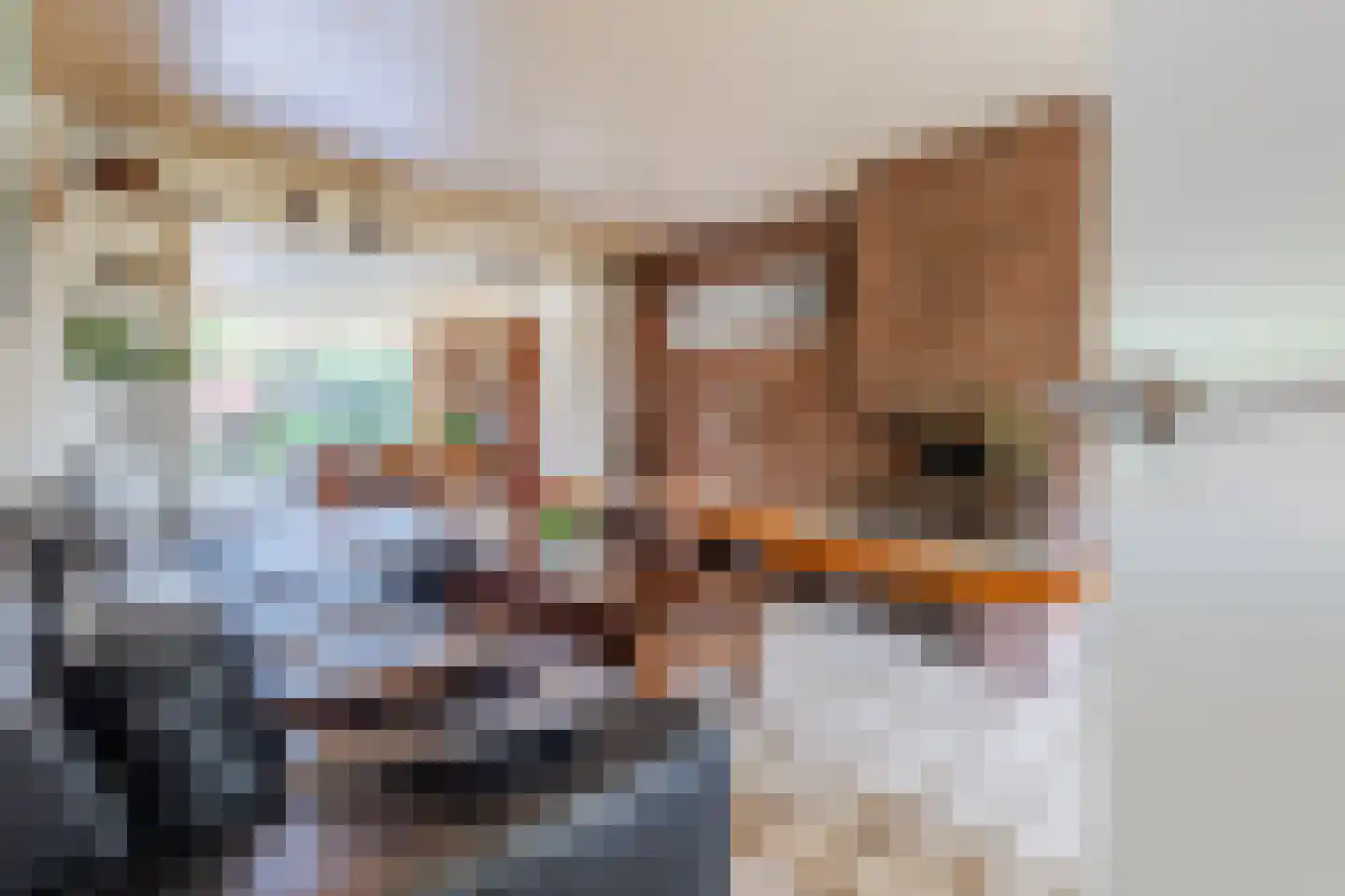 De Boggerd 46 Katwijk NB thumbnail 6