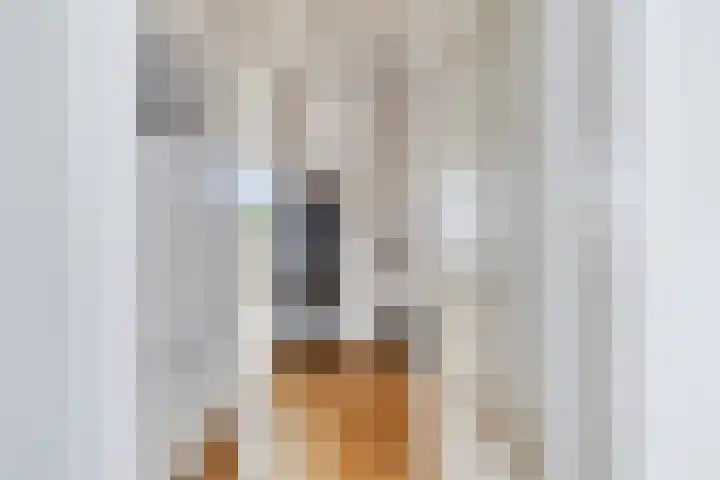 de Boisotstraat 19 Koudekerke thumbnail 10