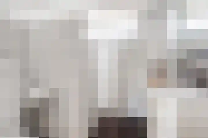 de Boisotstraat 19 Koudekerke thumbnail 12