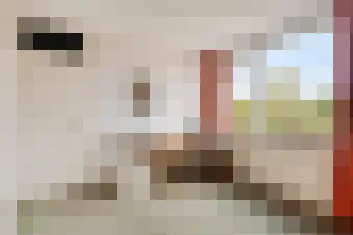 de Boisotstraat 19 Koudekerke thumbnail 16