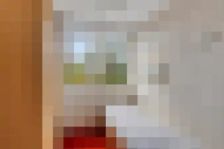 de Boisotstraat 19 Koudekerke thumbnail 17