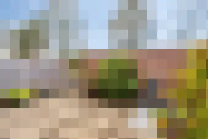 de Boisotstraat 19 Koudekerke thumbnail 19