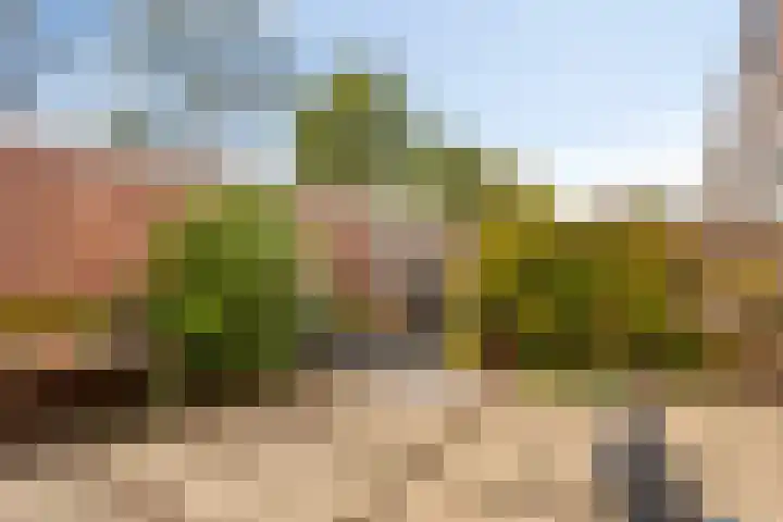de Boisotstraat 19 Koudekerke thumbnail 20
