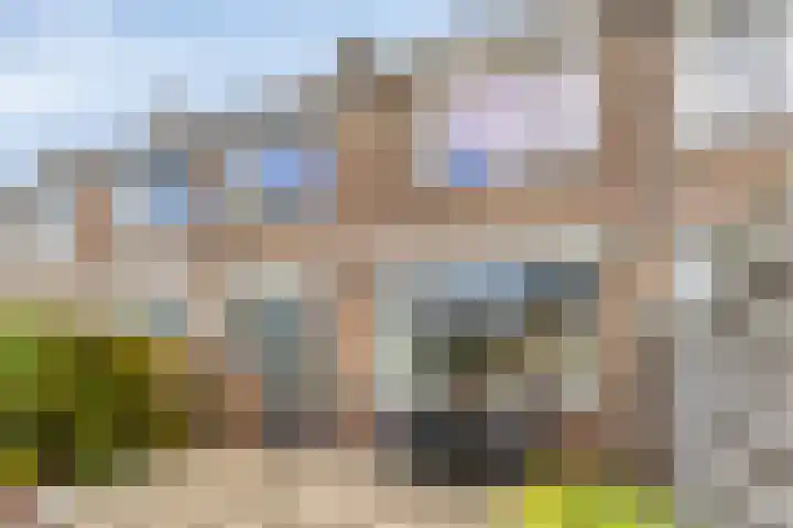 de Boisotstraat 19 Koudekerke thumbnail 21