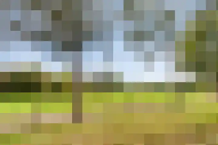 de Boisotstraat 19 Koudekerke thumbnail 22