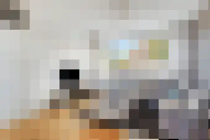 de Boisotstraat 19 Koudekerke thumbnail 4