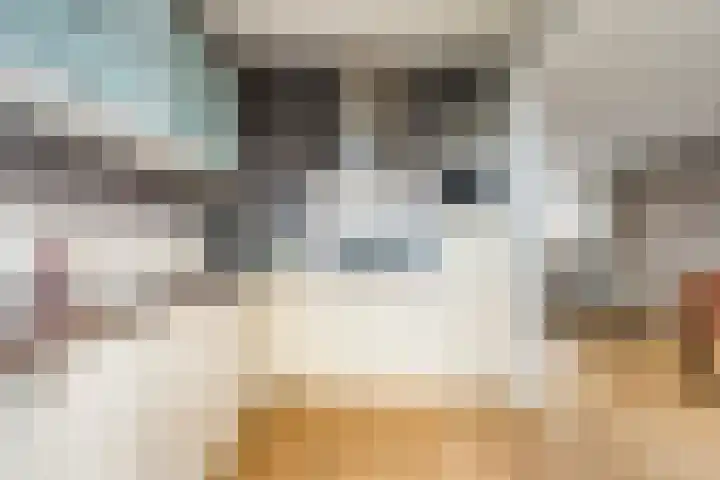 de Boisotstraat 19 Koudekerke thumbnail 7