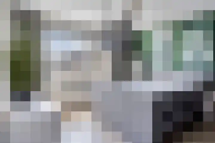 de Boisotstraat 30 Koudekerke thumbnail 15