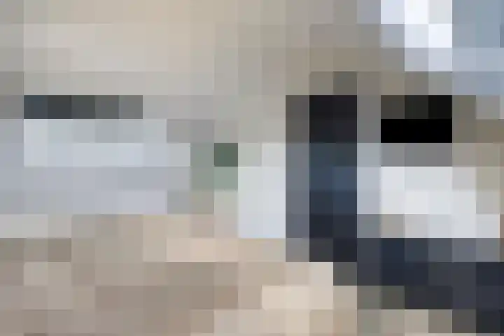 de Boisotstraat 30 Koudekerke thumbnail 22