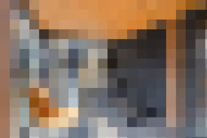 de Boisotstraat 30 Koudekerke thumbnail 25