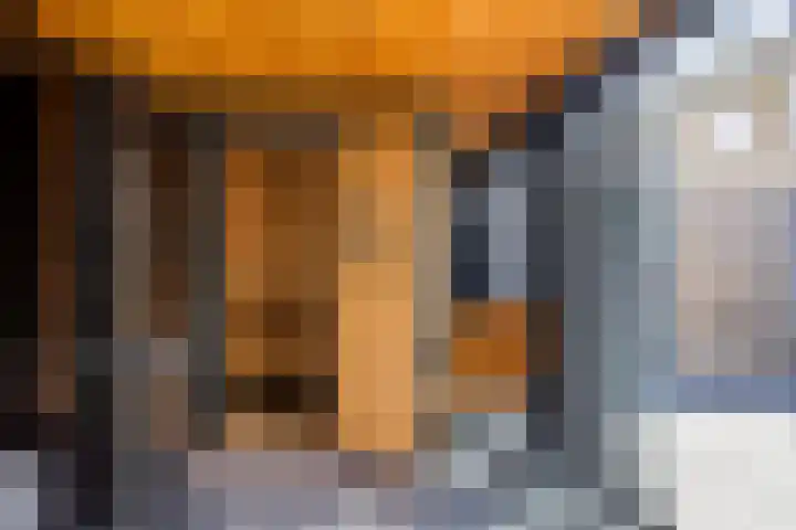 de Boisotstraat 30 Koudekerke thumbnail 26