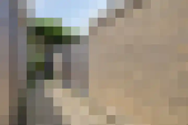 de Boisotstraat 30 Koudekerke thumbnail 27