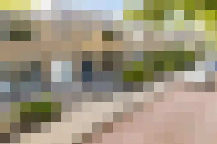 de Boisotstraat 30 Koudekerke thumbnail 31
